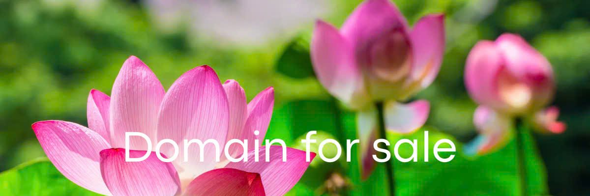PhatGiaoVietNam.com